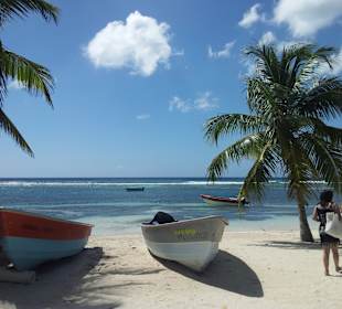 Insel Saona