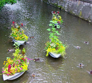 Stadt Erfurt im Bild Sept.2010