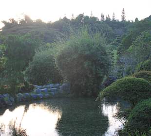 Botanical Garden