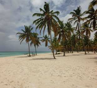 Saona