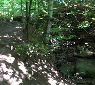Wanderung Heslacher Wasserfälle und Heidenbrünnele