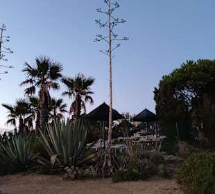 Praia de Nossa Senhora da Rocha
