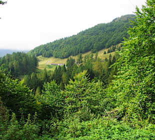 Die Landschaft am Plöcken