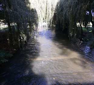 Ein Tag im Englischen Garten