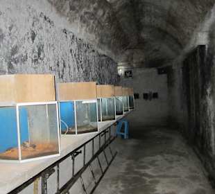 Höhle