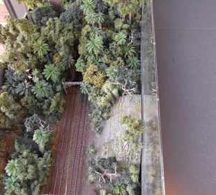 Auf der Brücke nach Südamerika