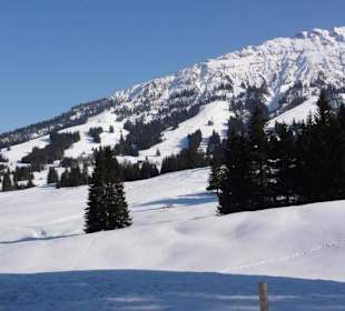 Piste