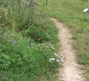 ALB-GOLD Naturgarten