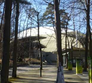 Zugang zur Opera Leśna / Waldoper von Sopot