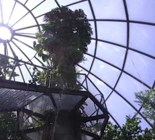 Botanischer Garten der Universität Zürich