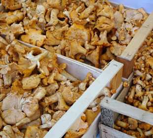 Impressionen vom Rundgang über den Wochenmarkt