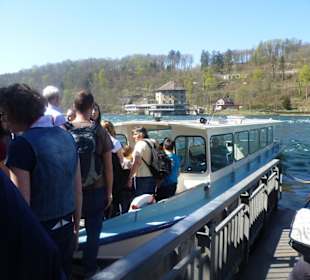 Rheinfall-Schifffahrt