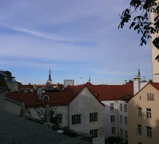 Вид на город из сада