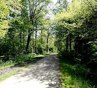 Wege durch den Stadtwald