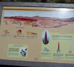 Parque Nacional del Teide