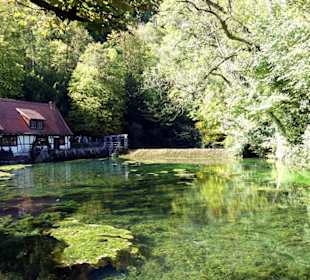 Diesmal klar und grün