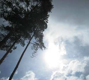 Zaghaftige Sonnenstrahlen