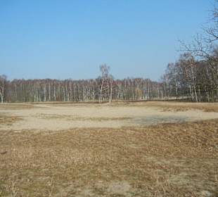 Wunderschöne Boberger Niederung