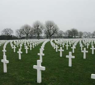 8.301 Grabsteine reihen sich auf grünem Rasen