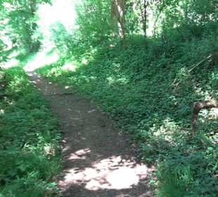 Wanderweg Sieben-Täler-Runde 