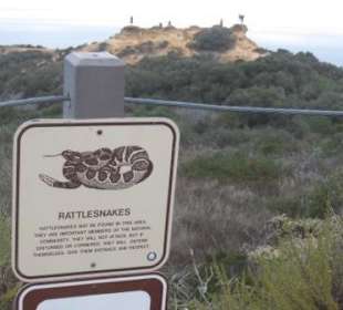 Blick über die Torrey Pines mit Warnschild