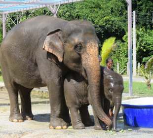 Die Mutter beschützt ihr Kind
