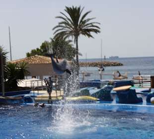 Marineland Mallorca