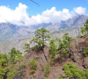Blick in die Caldera de Taburiente