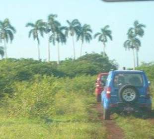 Mit den Jeeps durchs Gelände