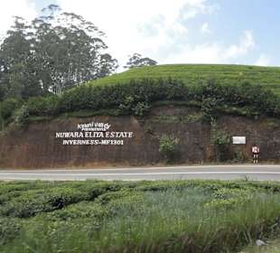 Nuwara Eliya