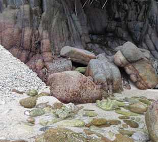 Anse souillac