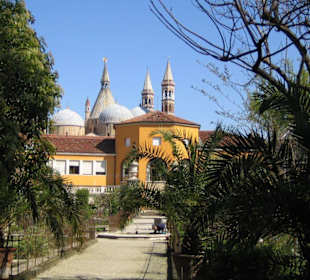 Der Botanische Garten in Padua