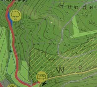 Premiumwanderweg Hochgehschätzt