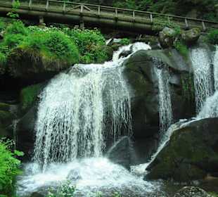  Wasserfall von Triberg