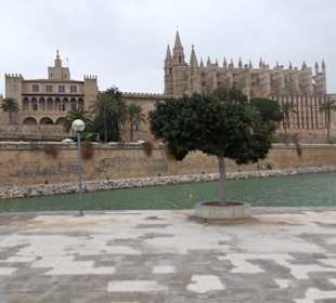 Wandern Playa de Palma - Palma