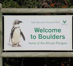 Boulders Beach