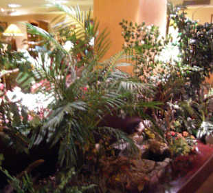 Grünpflanzen in der VIP Lounge