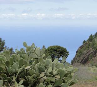 Cumbre Vieja / Lavastrom von San Nicolas