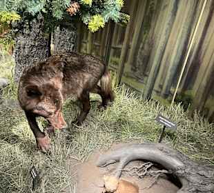 Yellowstone Nationalpark