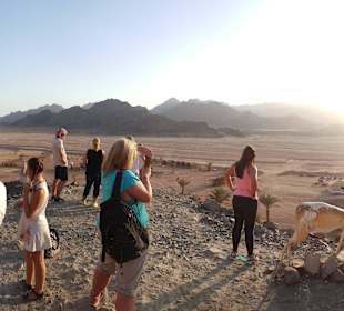 Panoramabild