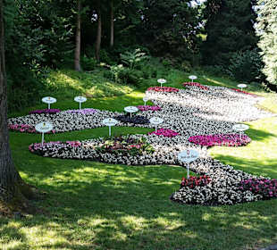 Blumen