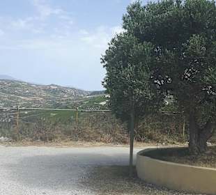 Führung Weinkellerei Boutari