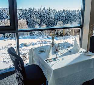 Ausblick - Wintergarten im Winter beim Reischlhof