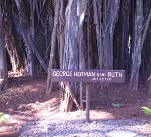 Planter par Babe Ruth.