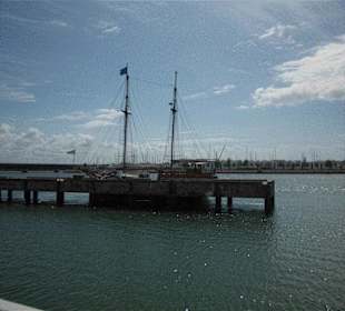 Piraten