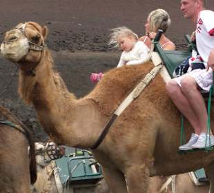 Ritt auf dem Kamel