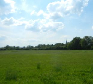 Naturschutzgebiet Boberger Niederung