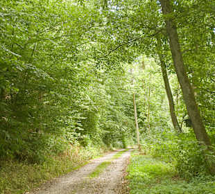 Wandern Vöhl