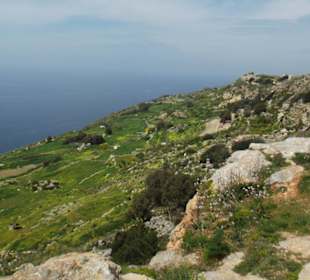 Dingli Cliffs