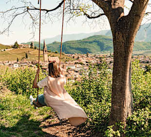 Wandern Termeno sulla Strada del Vino / Tramin an der Weinst